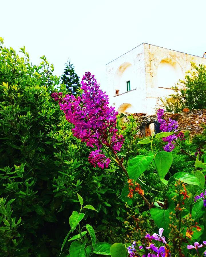 Masseria Delle Rose 1760 Alessano Eksteriør billede