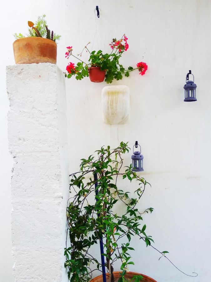 Masseria Delle Rose 1760 Alessano Eksteriør billede